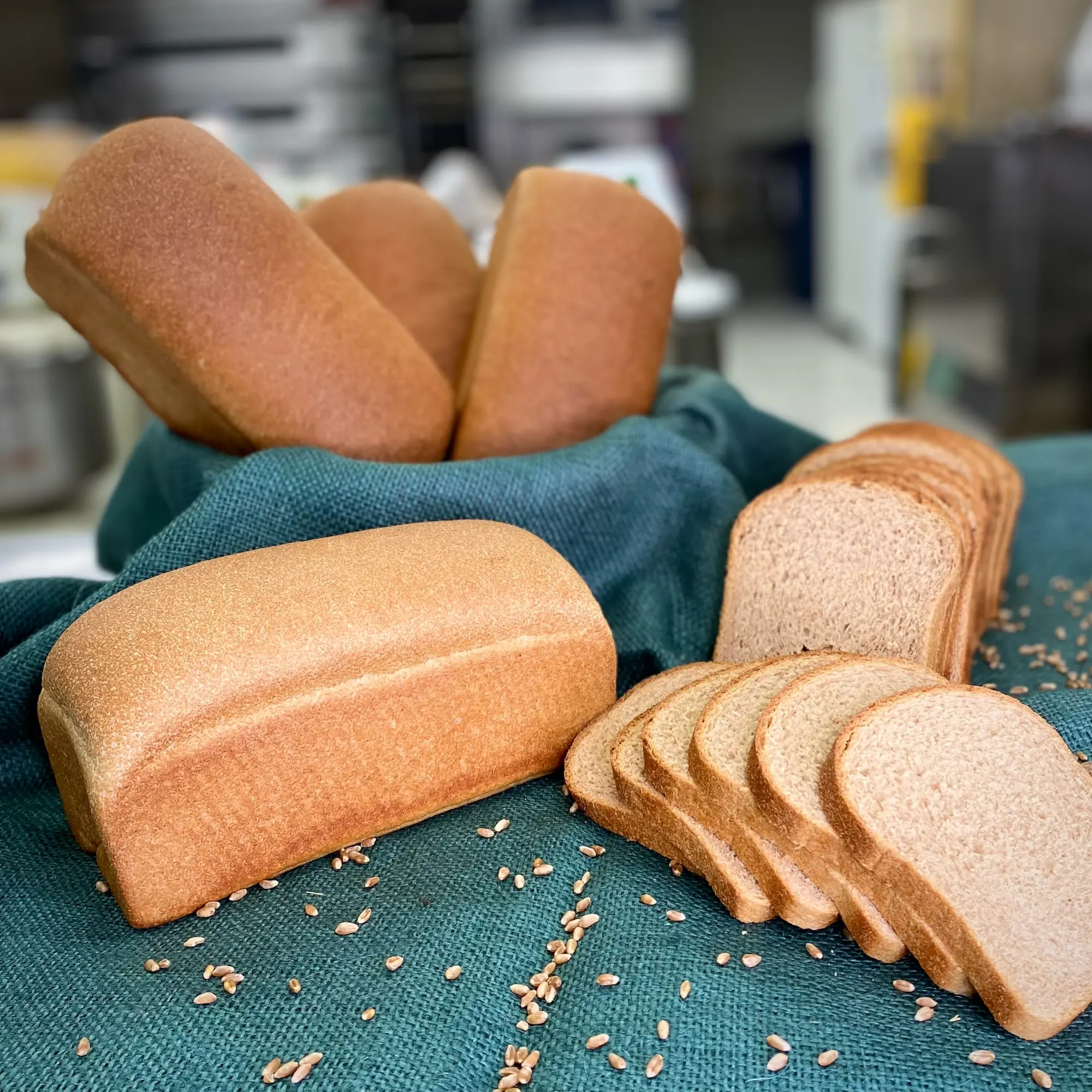 Pan de Molde Integral